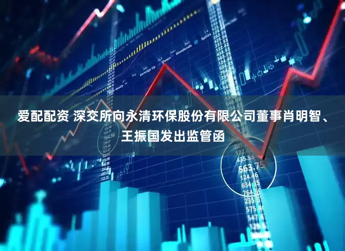 爱配配资 深交所向永清环保股份有限公司董事肖明智、王振国发出监管函
