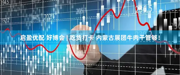 启盈优配 好博会 | 吃货打卡 内蒙古展团牛肉干管够！