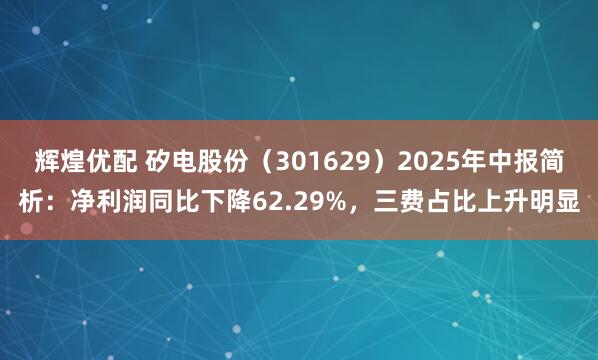辉煌优配 矽电股份（301629）2025年中报简析：净利润同比下降62.29%，三费占比上升明显